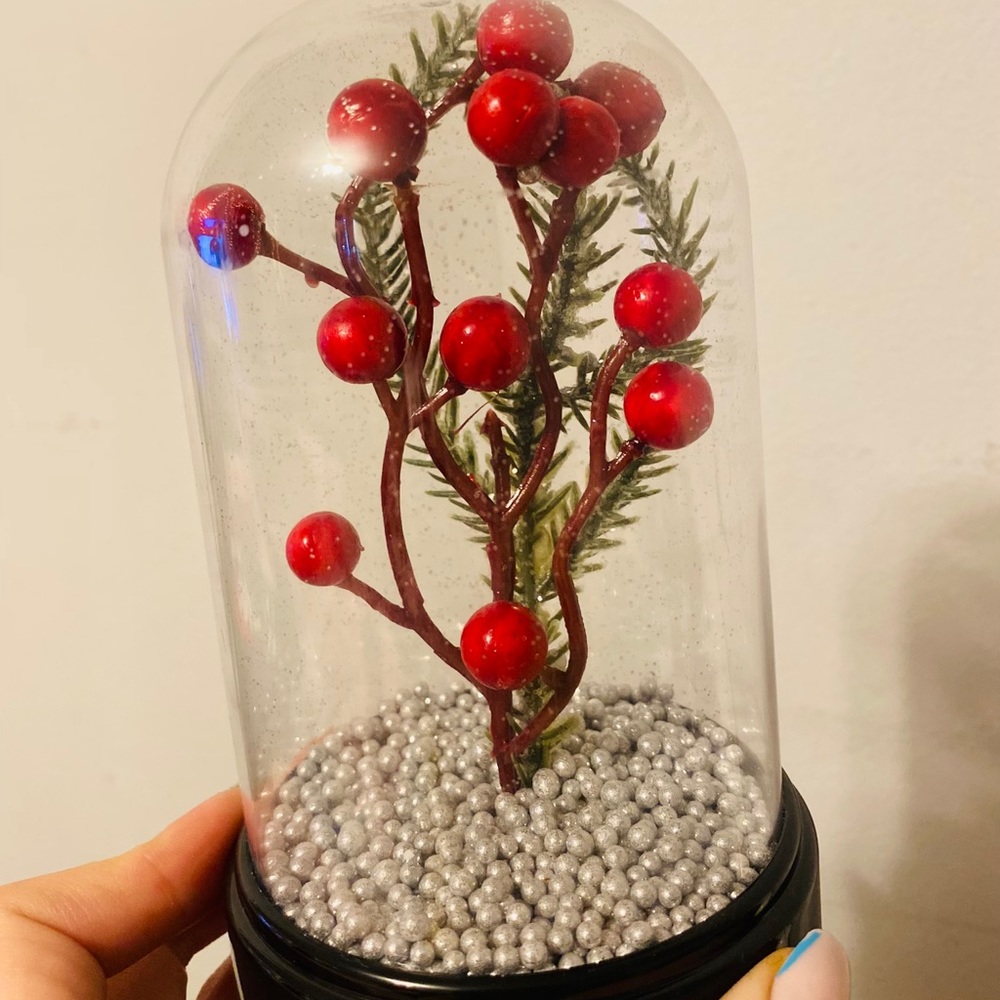 For Christmas